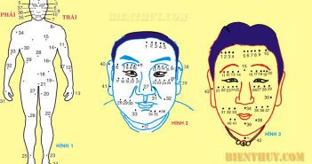 Lý giải vị trí nốt ruồi trên cơ thể con người Lý giải vị trí nốt ruồi trên cơ thể con người
