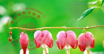 33 điều phải kiêng kỵ đặc biệt về tâm linh 33 điều phải kiêng kỵ đặc biệt về tâm linh