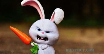 Bạn có biết 9 sự thật đáng ngạc nhiên này? Sự thật khoa học thú vị: 9 sự thật đáng kinh ngạc