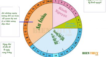 Cách tính ngày rụng trứng chính xác để thụ thai Ngày rụng trứng theo chu kỳ kinh