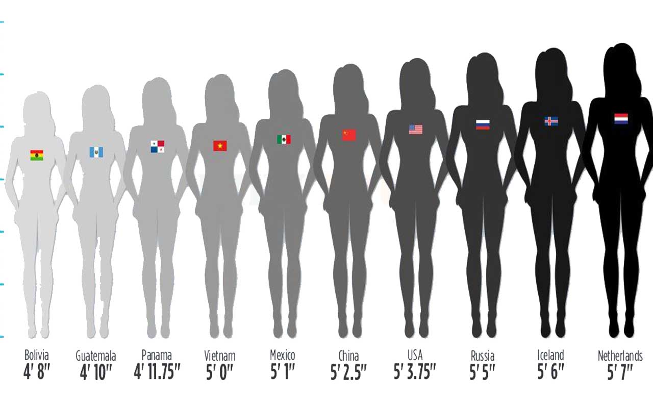 A graph showing the average height of women in the United States, Canada, Europe, and Asia.